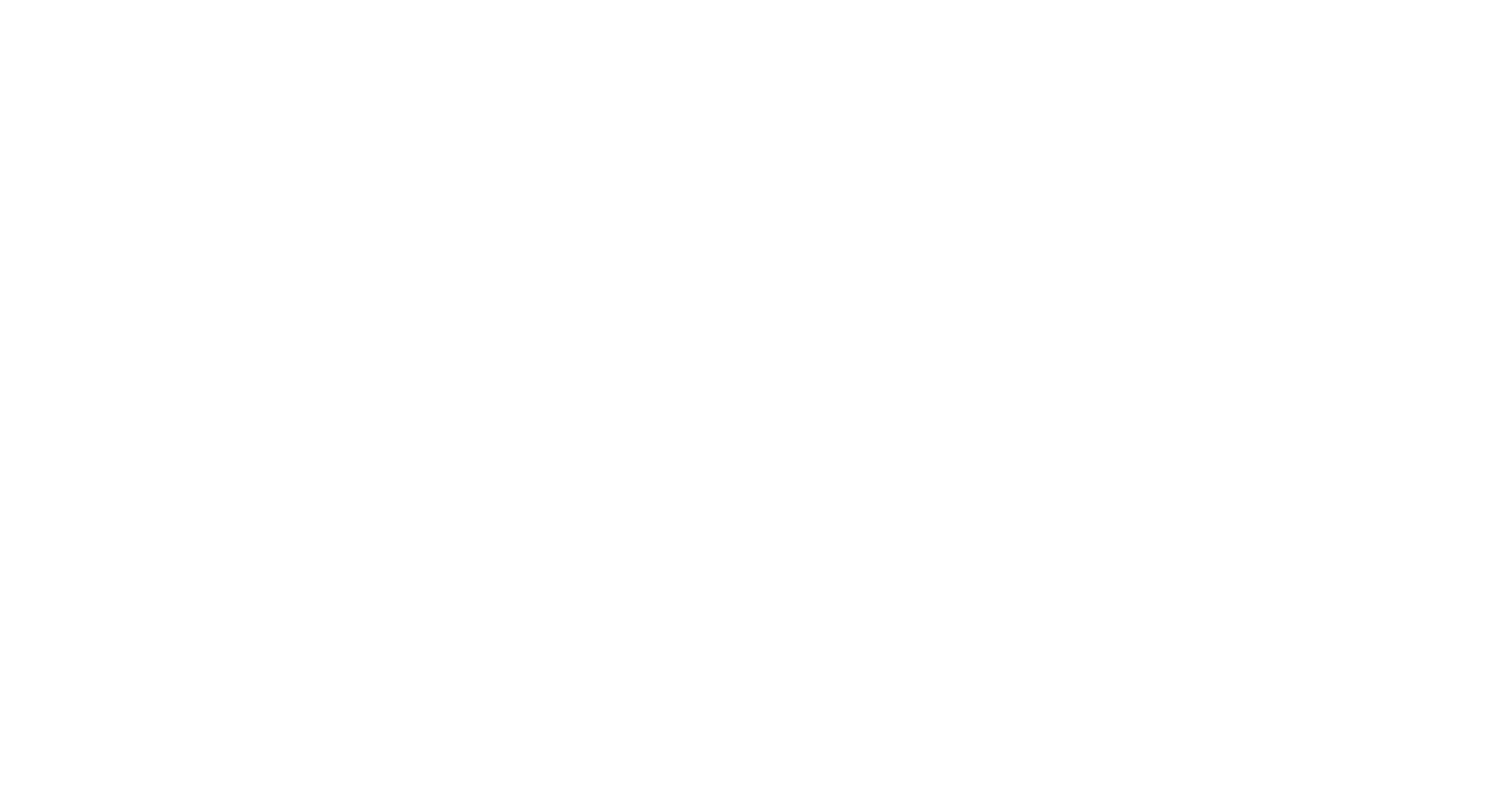 SAVE THE DUCK