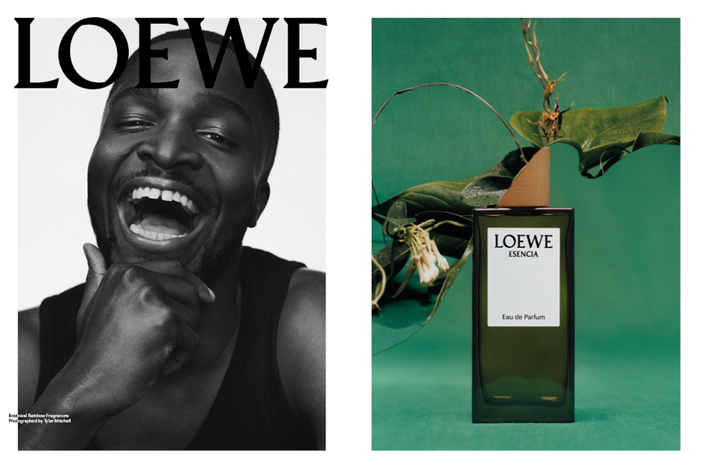 LOEWE PERFUME