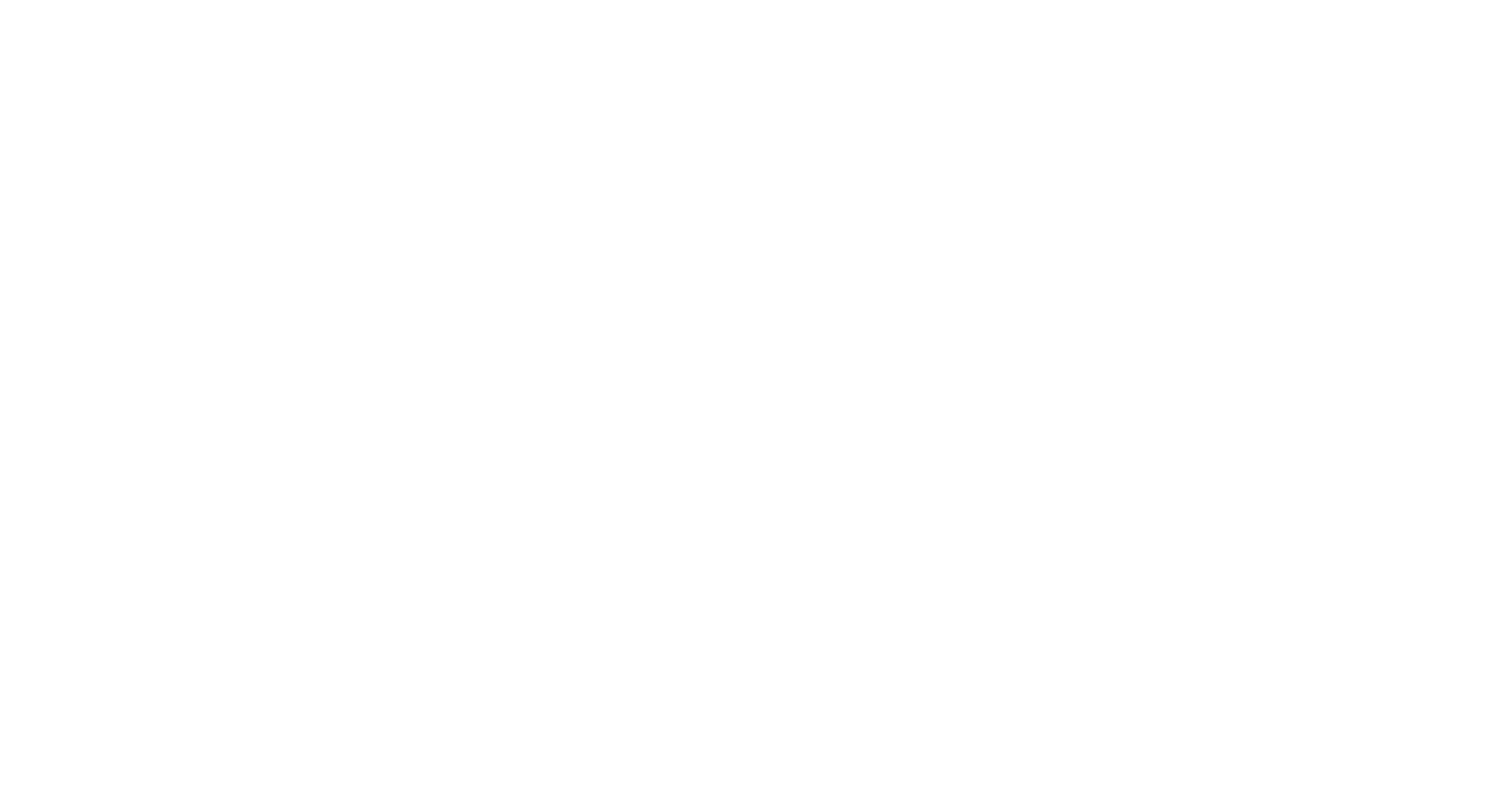 VIDIVICI